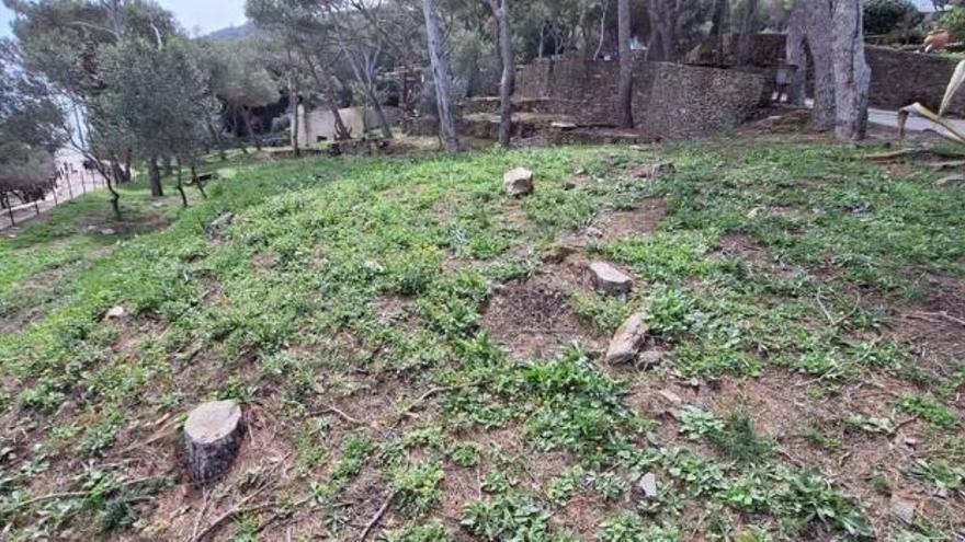 Alerta per la tala de pins entorn de Portlligat a Cadaqués