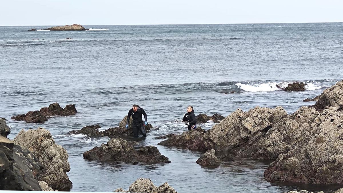 Mariscadores, durante esta campaña del oricio,