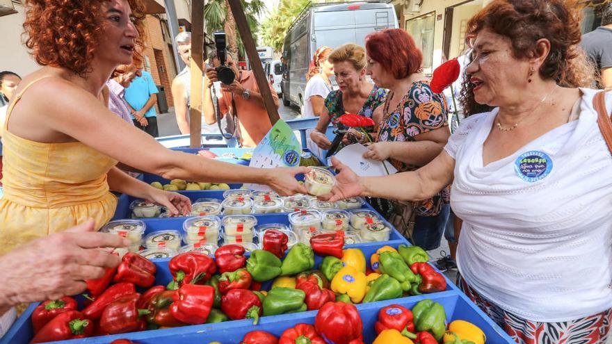 Imagen del reparto gratuito de verdura y fruta que hicieron los regantes el verano pasado en Torrevieja