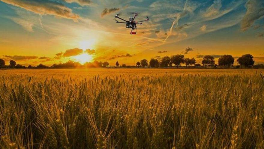 Rentabilidad en el campo desde Ejea de los Caballeros