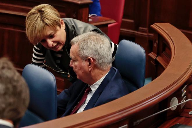 Pleno extraordinario en el Parlamento de Canarias (19/01/2023)