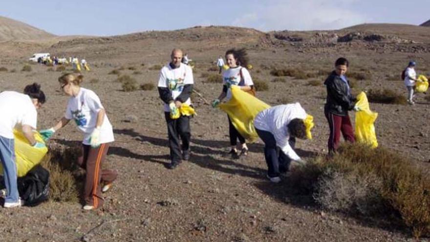 Limpieza del entorno del complejo ambiental de Zonzamas.  | lp / dlp