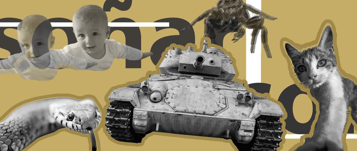 Bebés, serpientes, arañas, gatos e, incluso, la guerra en Ucrania 'acompañan' de noche a los gallegos.