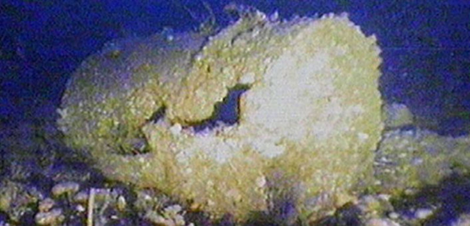 Bidón radioactivo en el Atlántico