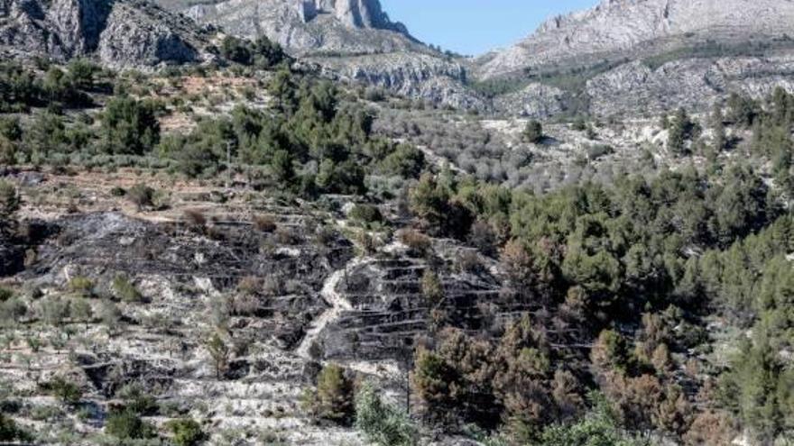 Imagen de la zona calcinada por las llamas en el entorno del pantano.