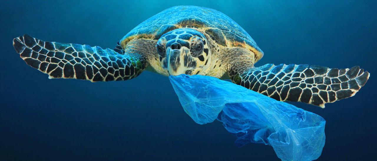 Los océanos están repletos de plástico.