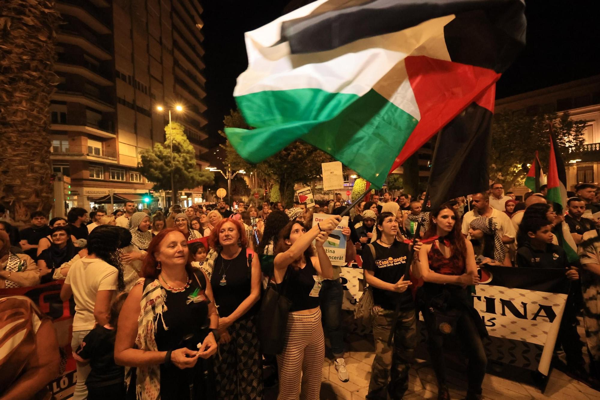 Galería de imágenes: Castellón sale a la calle en defensa de Palestina