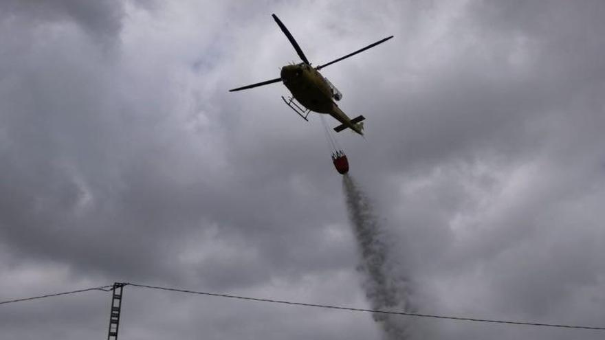 Un incendio calcina 1,5 hectáreas de cultivos abandonados en Benissa