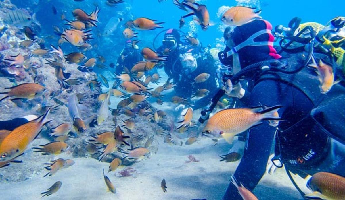 Los mejores fondos marinos del mundo