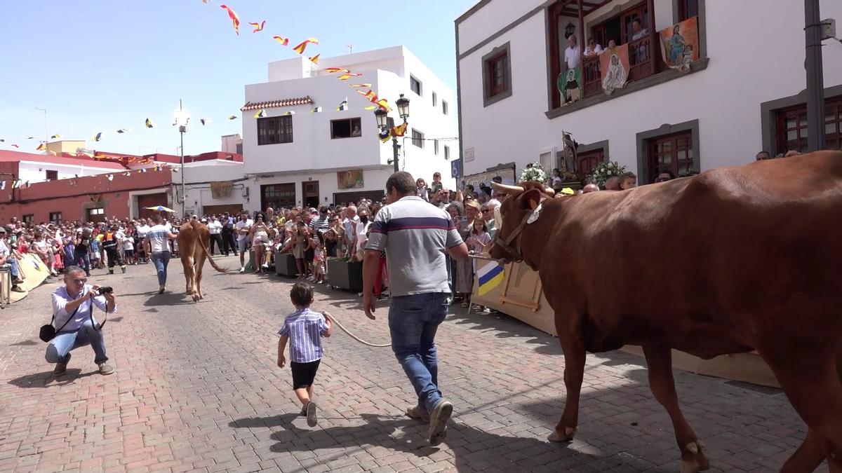 El desfile de animales ante la imagen de la virgen del Buen Suceso en Carrizal, el lunes.
