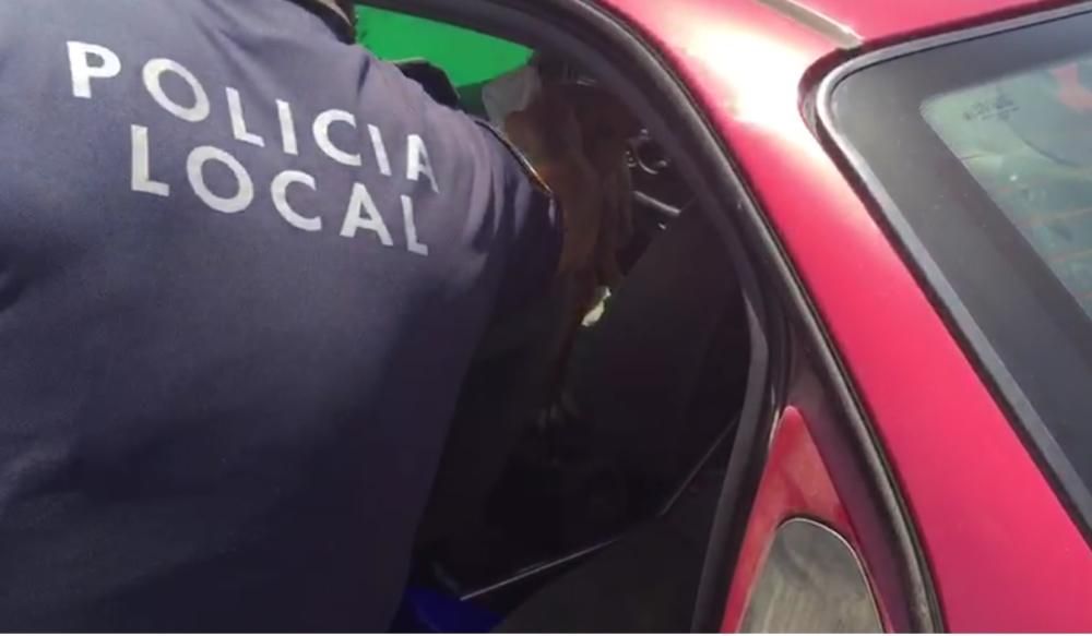 El perro rescatado en un coche estacionado al sol.