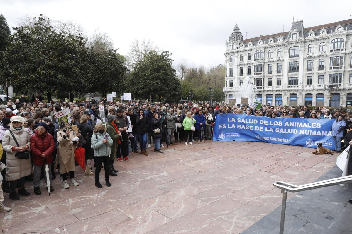 Manifestación de veterinarios en Oviedo contra la nueva normativa que controla su trabajo