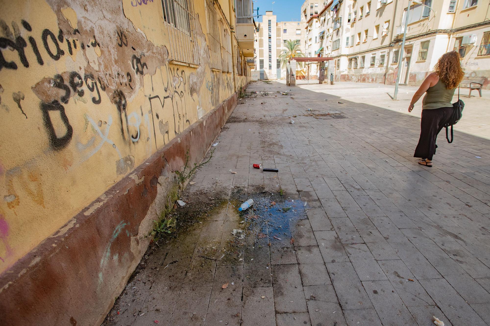 Quejas por la plaga de palomas en Miguel Hernández