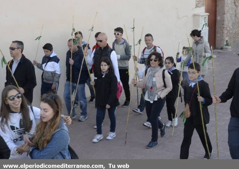 GALERÍA DE FOTOS -  Romería Magdalena 2014 (1)