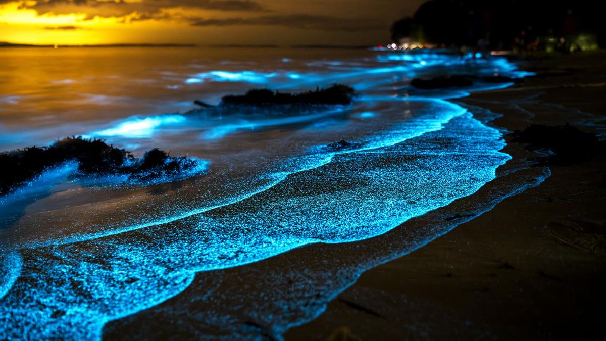 Las 3 playas de España en las que se verá la bioluminiscencia este fin de semana: un plan lleno de magia