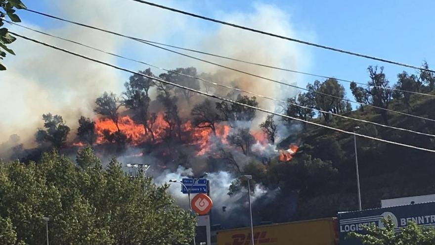 Controlat l&#039;incendi de la Jonquera que ha començat al marge de l&#039;AP-7