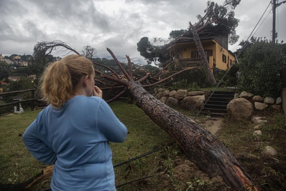 Destrosses a Riells i Viabrea per un tornado