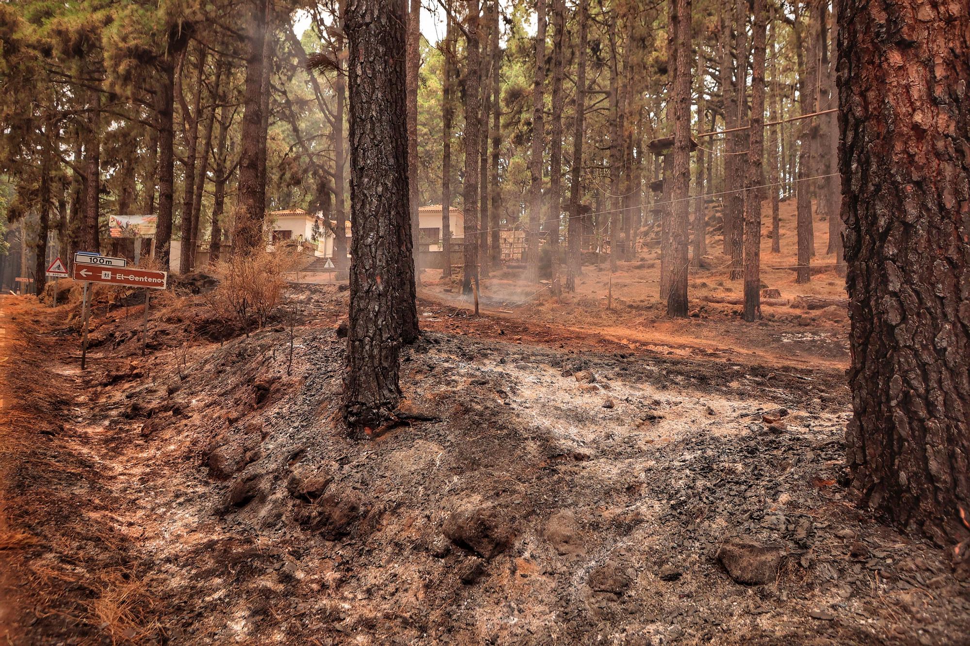 Evolución del incendio en Tenerife