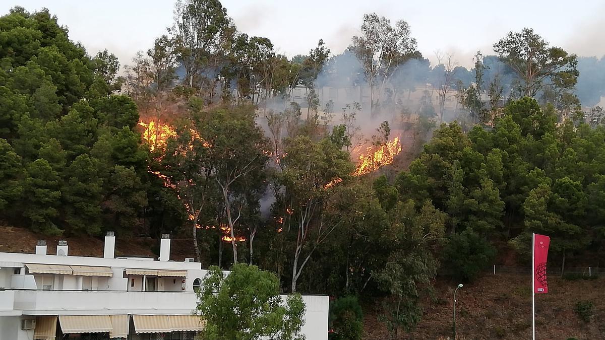 Imagen de árboles ardiendo en Cerrado de Calderón.