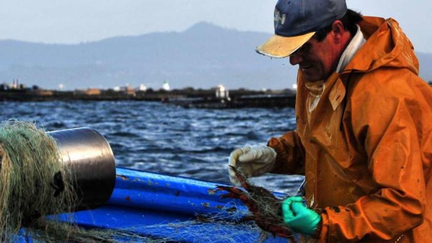 Pesca de centolla con miños en la ría de Arousa, durante la pasada campaña. // Iñaki Abella