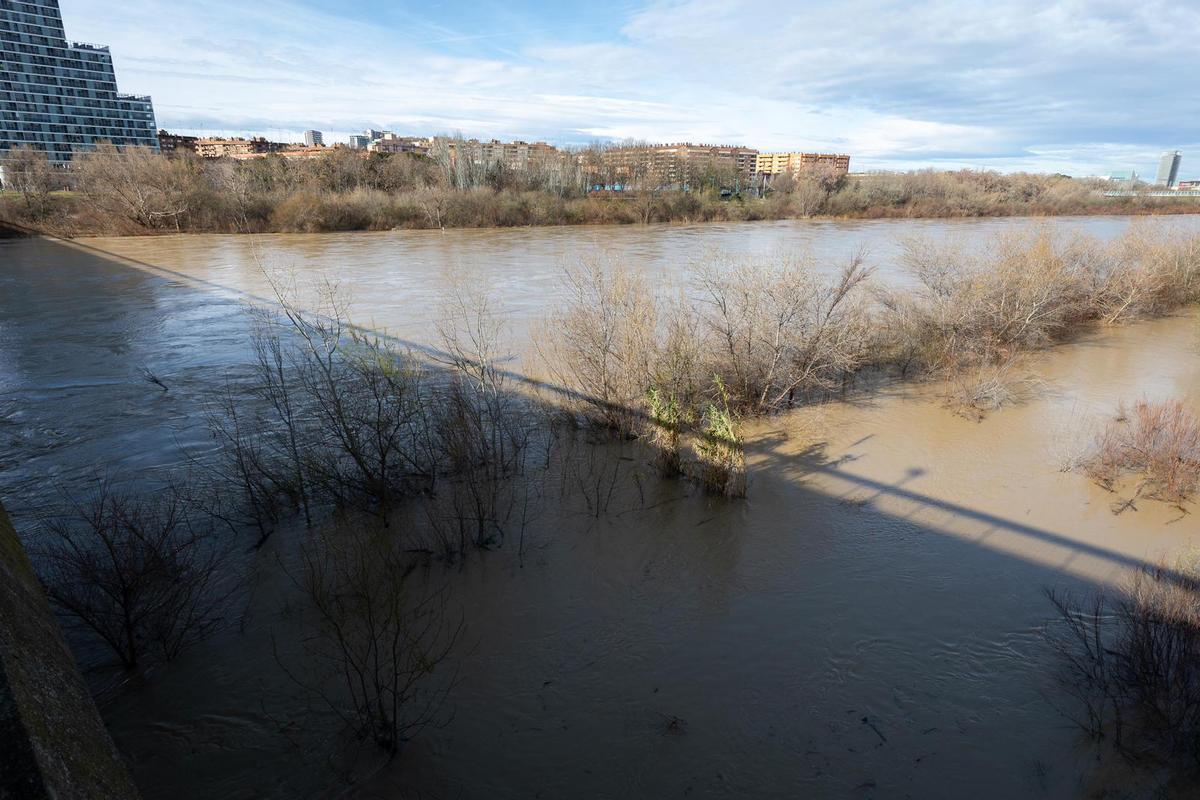 En imágenes I Así está el río Ebro a su paso por Zaragoza este lunes