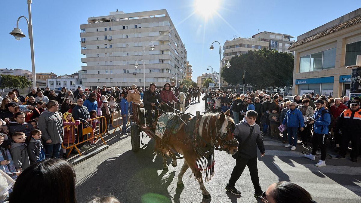 La benedicció d'animals al Grau de Gandia va estar un dels actes amb més gent