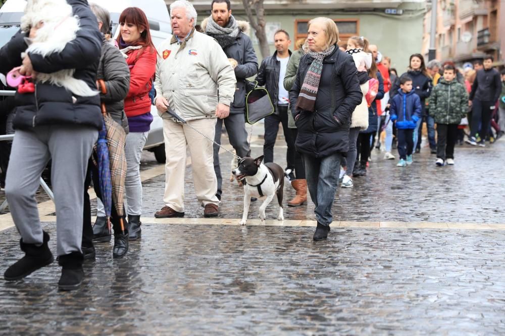 Bendición de animales en Paterna.