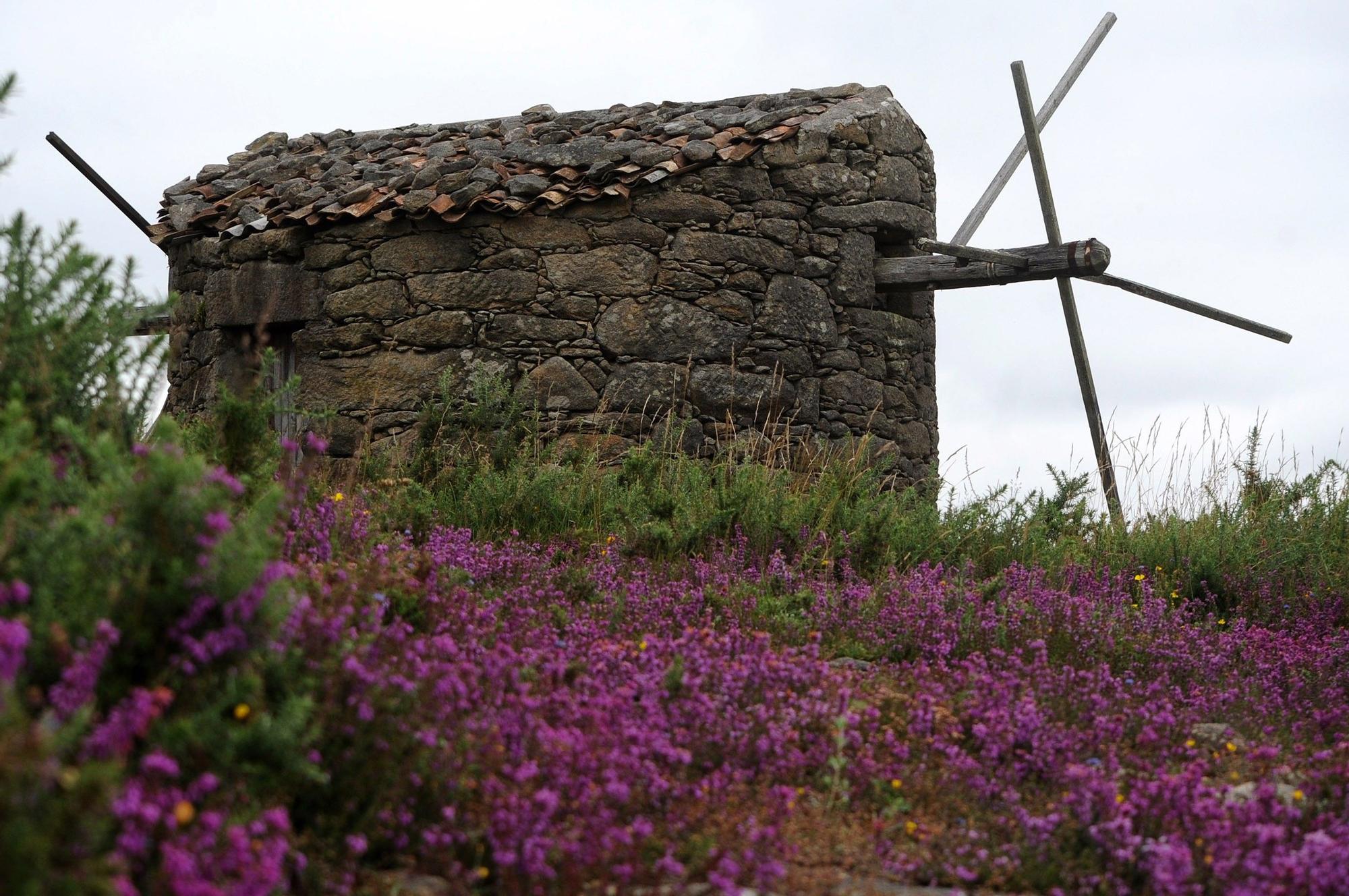 Molinos de viento en Abalo (Catoira).