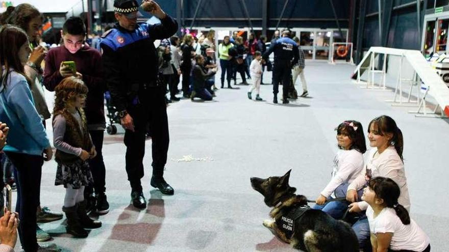 Los perros que adiestra la Policía Local hacen las delicias de los niños