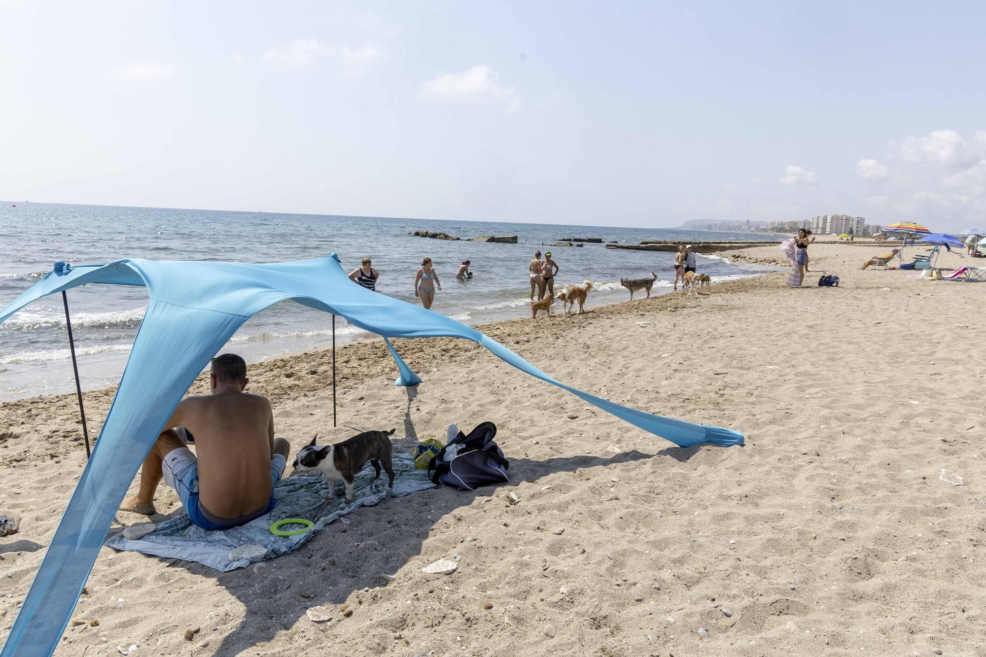 La playa canina de Agua Amarga de Alicante se queda sin servicios para perros