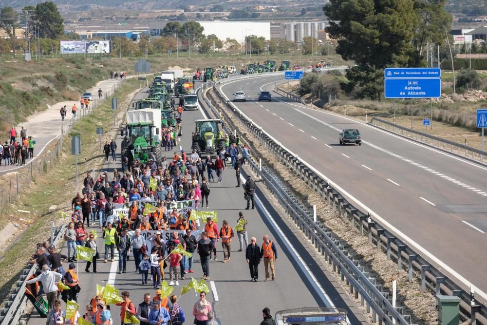 Tractorada en defensa del campo alicantino