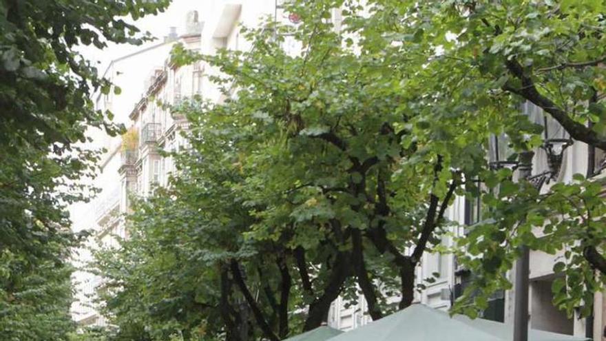 Una de las terrazas instaladas en la calle del Paseo. // Jesús Regal