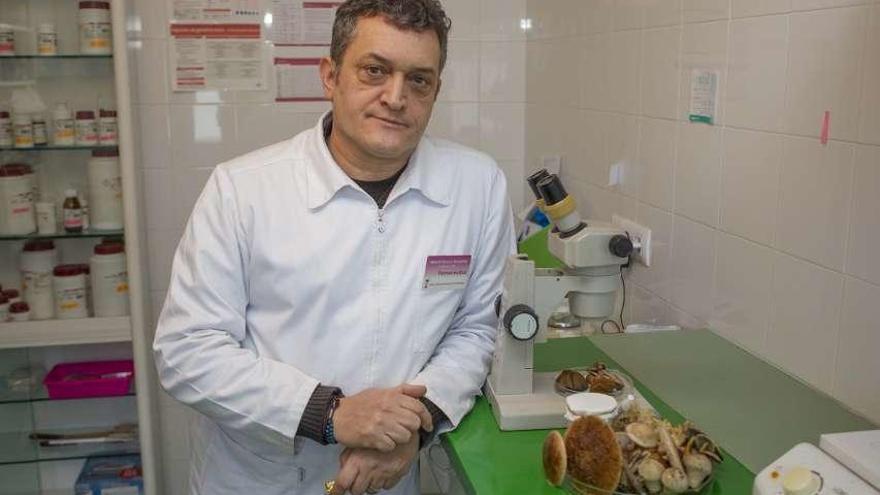 Alberto Granja en su laboratorio a punto de analizar distintas especies de setas. // Bernabé/Ana Agra