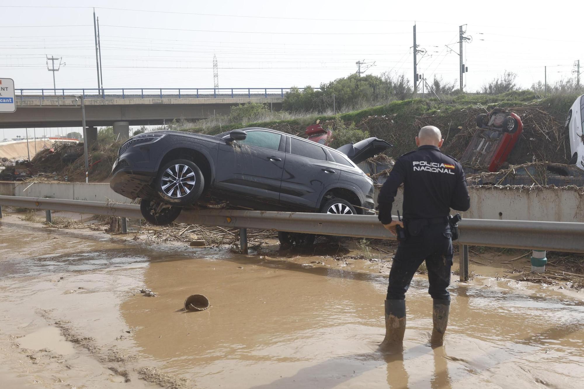 WhatsApp Image 2024-10-30 at 14.17.17.jpeg