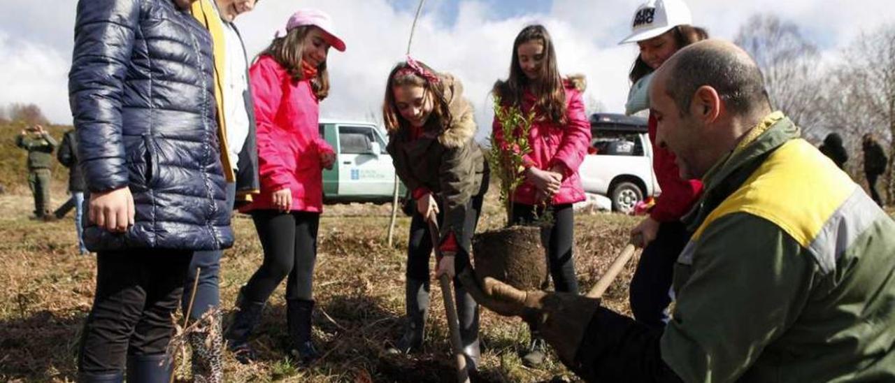 Comuneros, colegio, distrito forestal y A Soutelana colaboraron en esta jornada. // Bernabé/Luismy