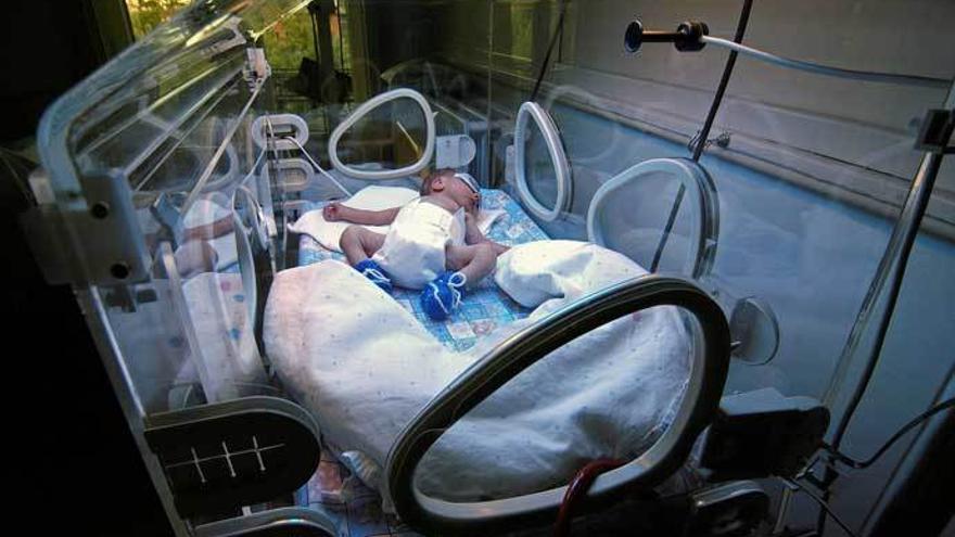Bebes Prematuros Lucha Y Desafios Desde La Incubadora Informacion