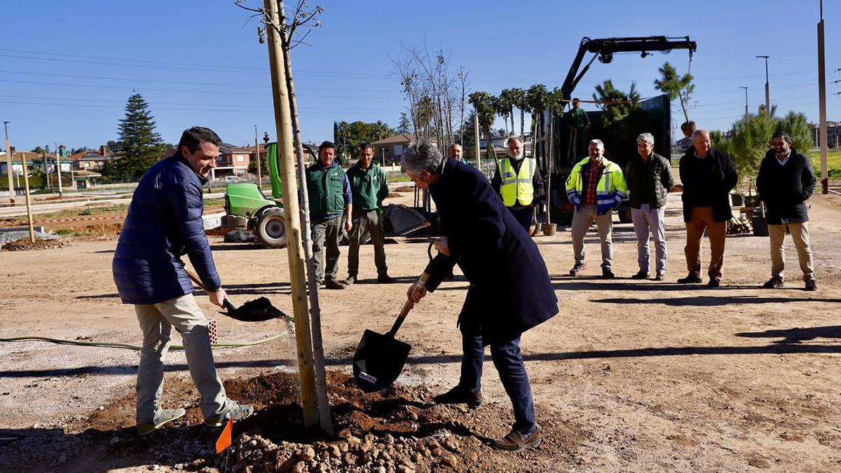 El parque del Canal acoge los primeros árboles