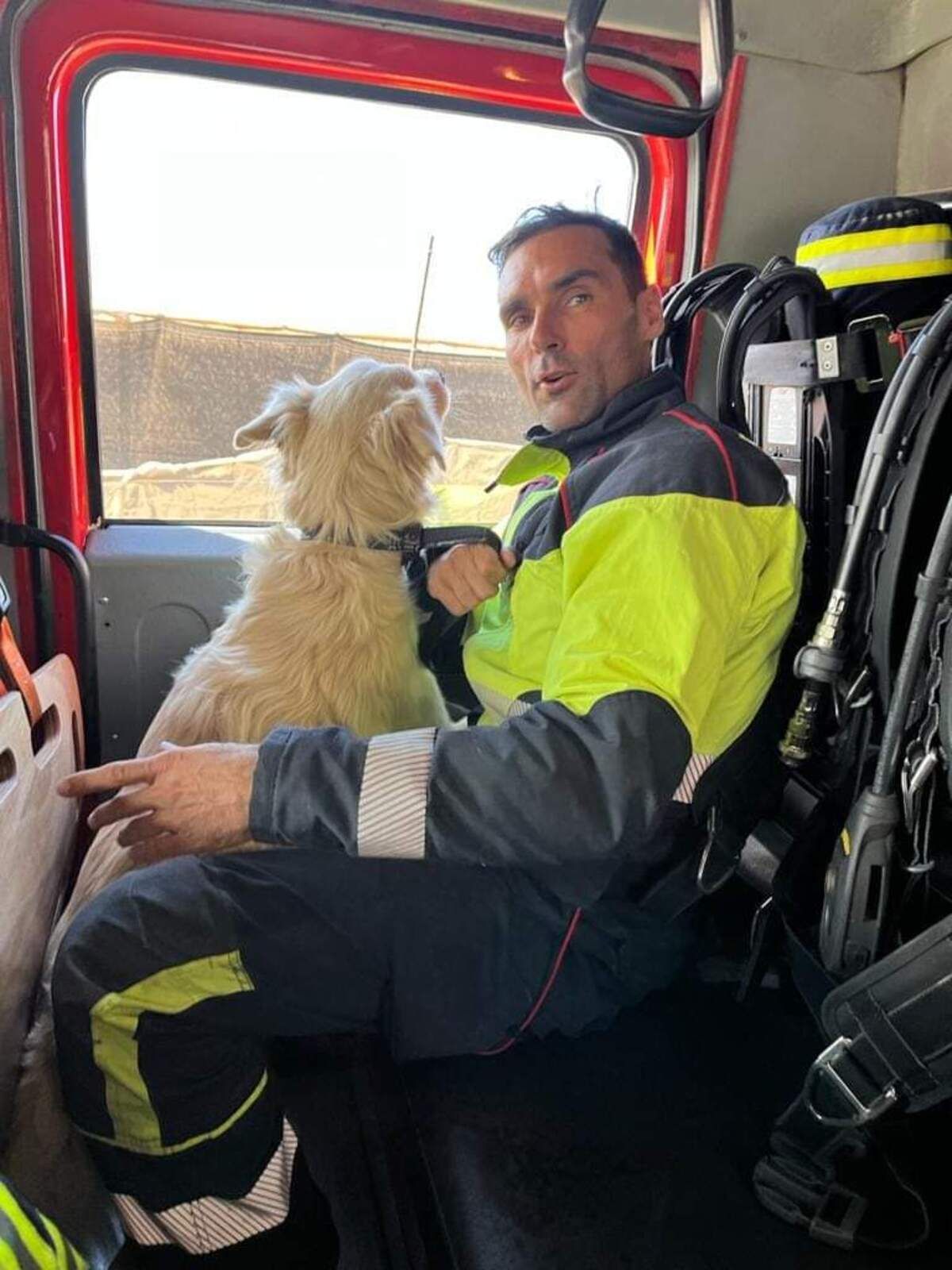 Perro rescatado de un depósito vacío en el municipio de San Bartolomé de Tirajana