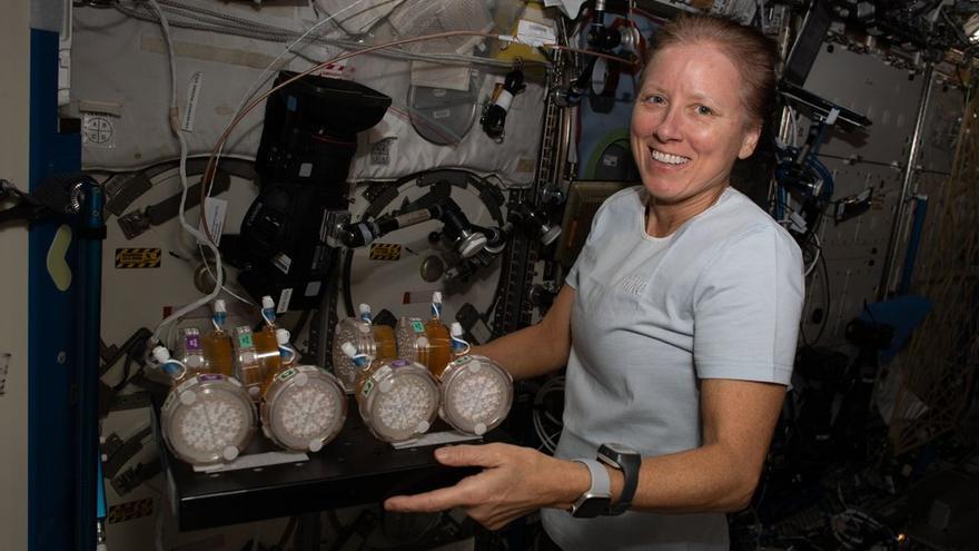 La astronauta estadounidense Shannon Walker, de la tripulación de la llamada SpaceX Crew.