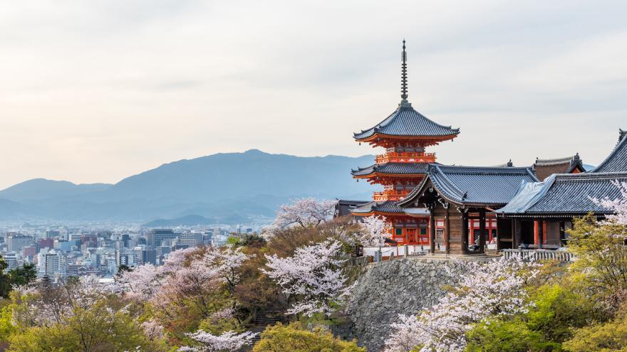 Descubre toda la esencia de Japón en la próxima Expedición VIAJAR