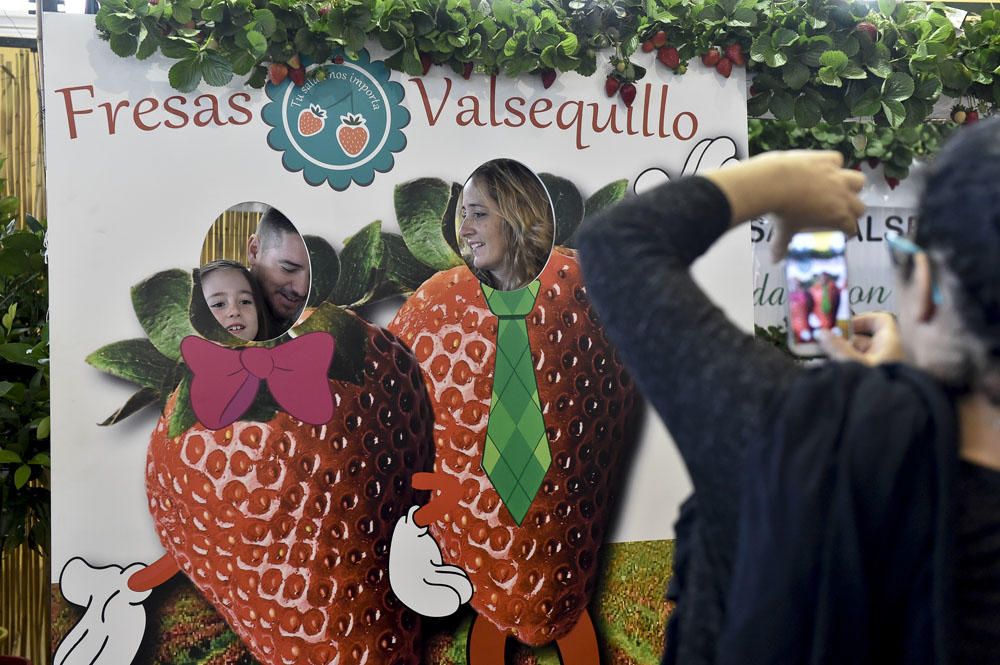 Feria de la fresa de Valsequillo, 2017