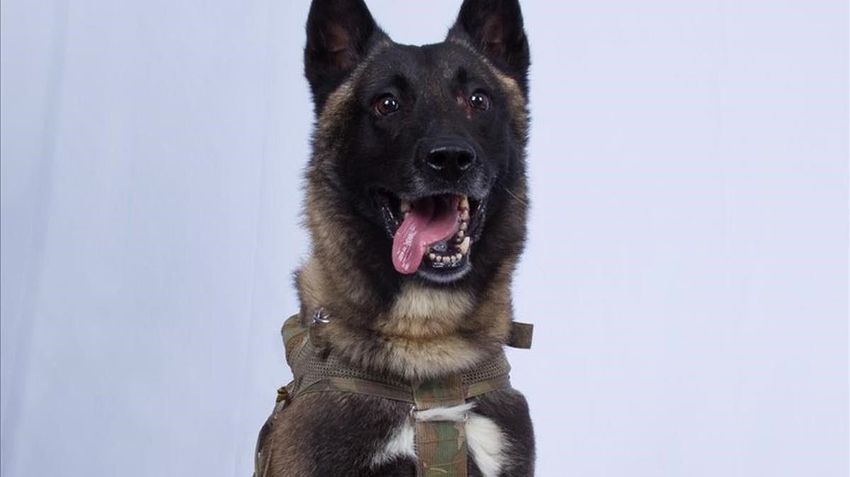 zentauroepp50635157 in this photo provided by the white house via the twitter ac191028214456