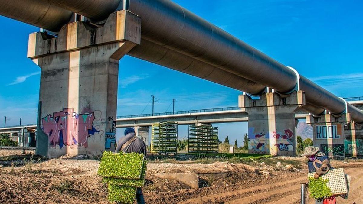 El agua del trasvase empezará a reducirse durante el verano.