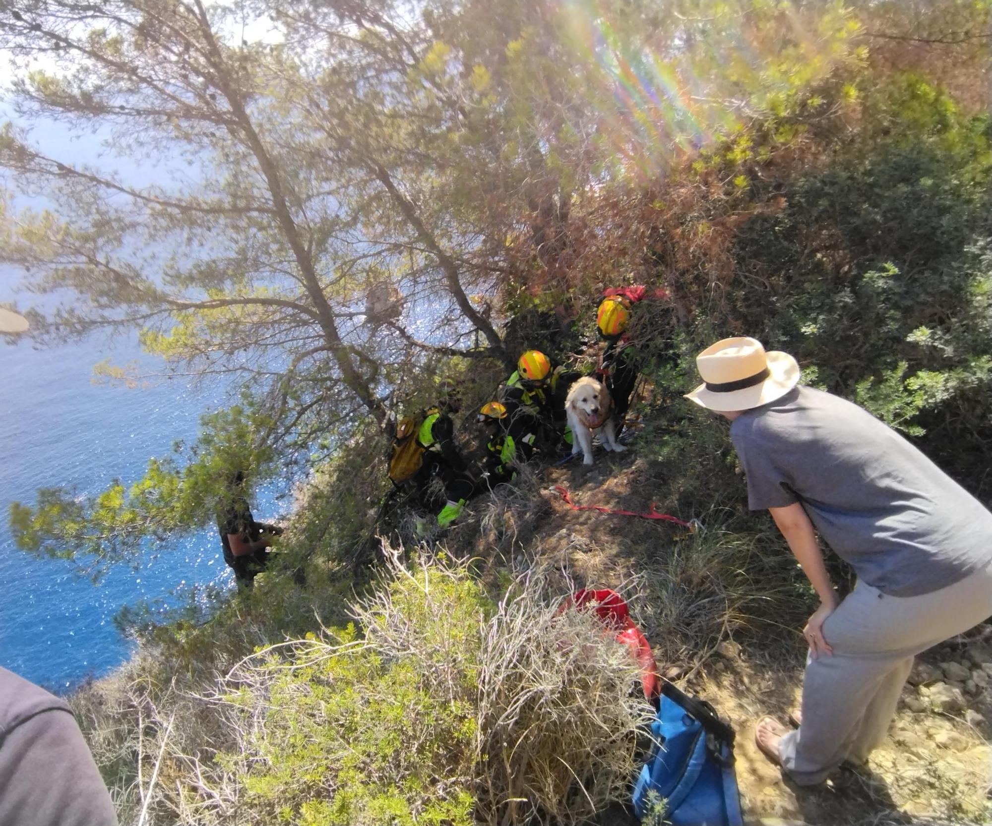 Las imágenes del rescate del perro que ha caído de 30 metros en el acantilado de Xàbia