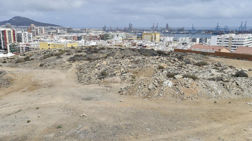 La preservación del escarabajo de La Minilla queda garantizada