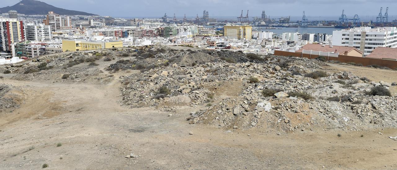 Parcela en La Minilla donde habita el escarabajo en peligro de extinción.