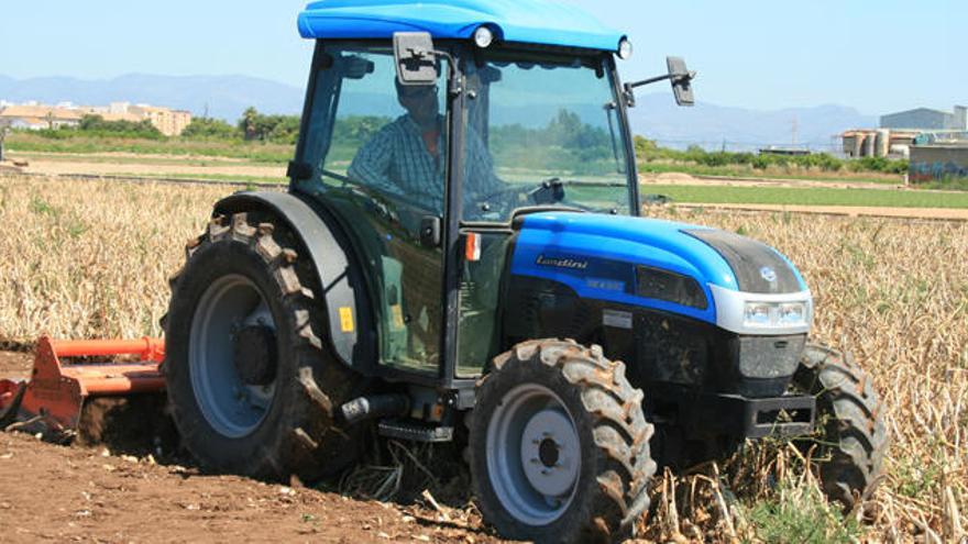 Los agricultores destruyen la cosecha de patatas y cebollas por los bajos precios