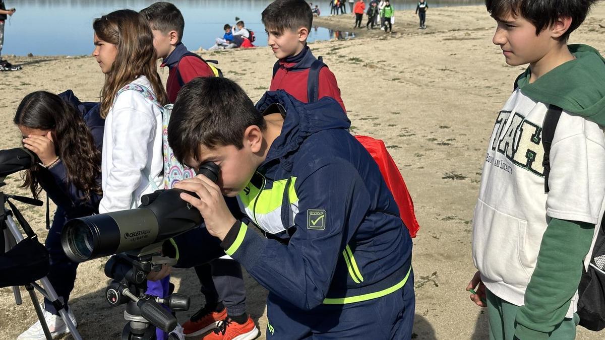 Los alumnos observan las grullas por el telescopio.