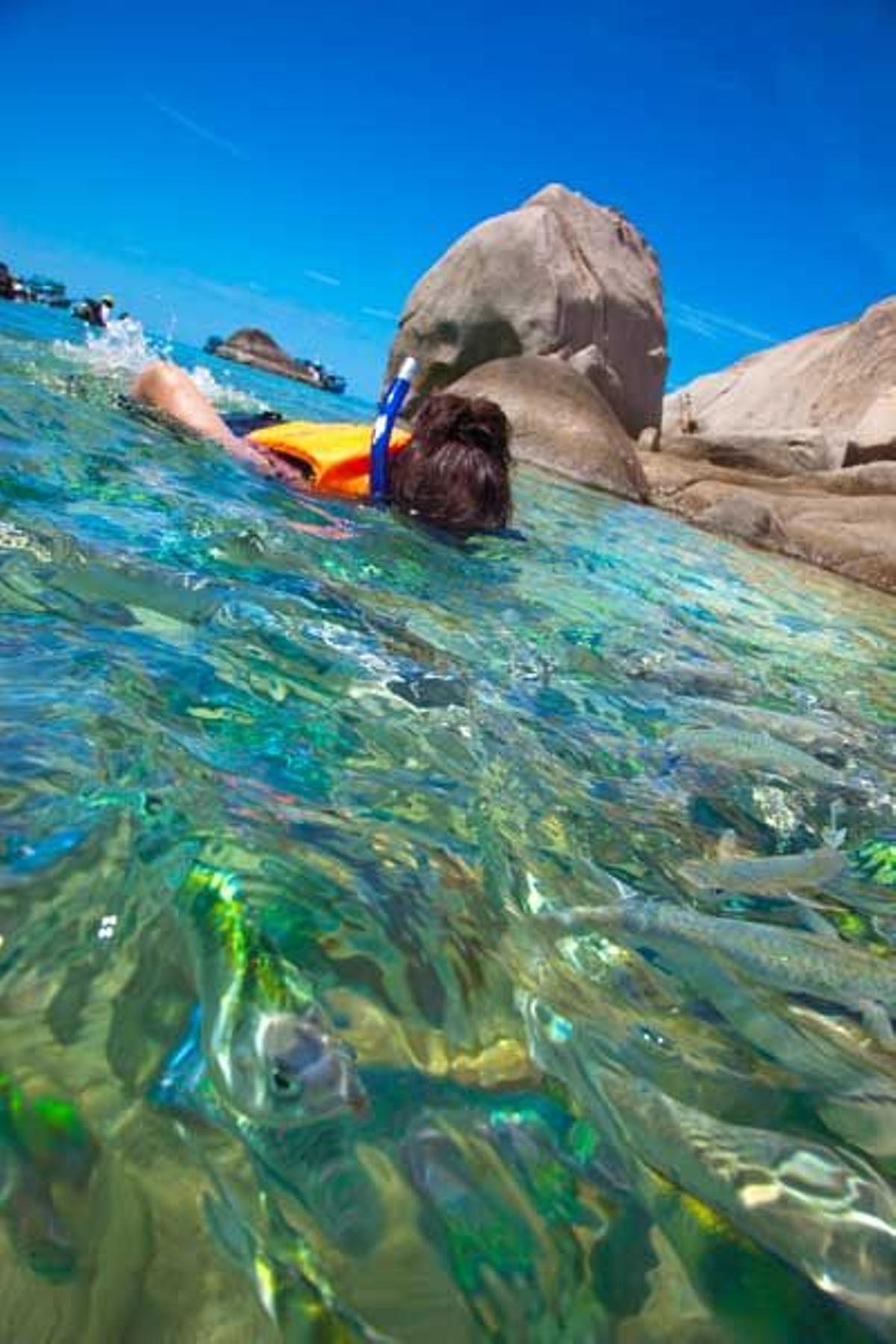 Esnórquel en Koh Tao