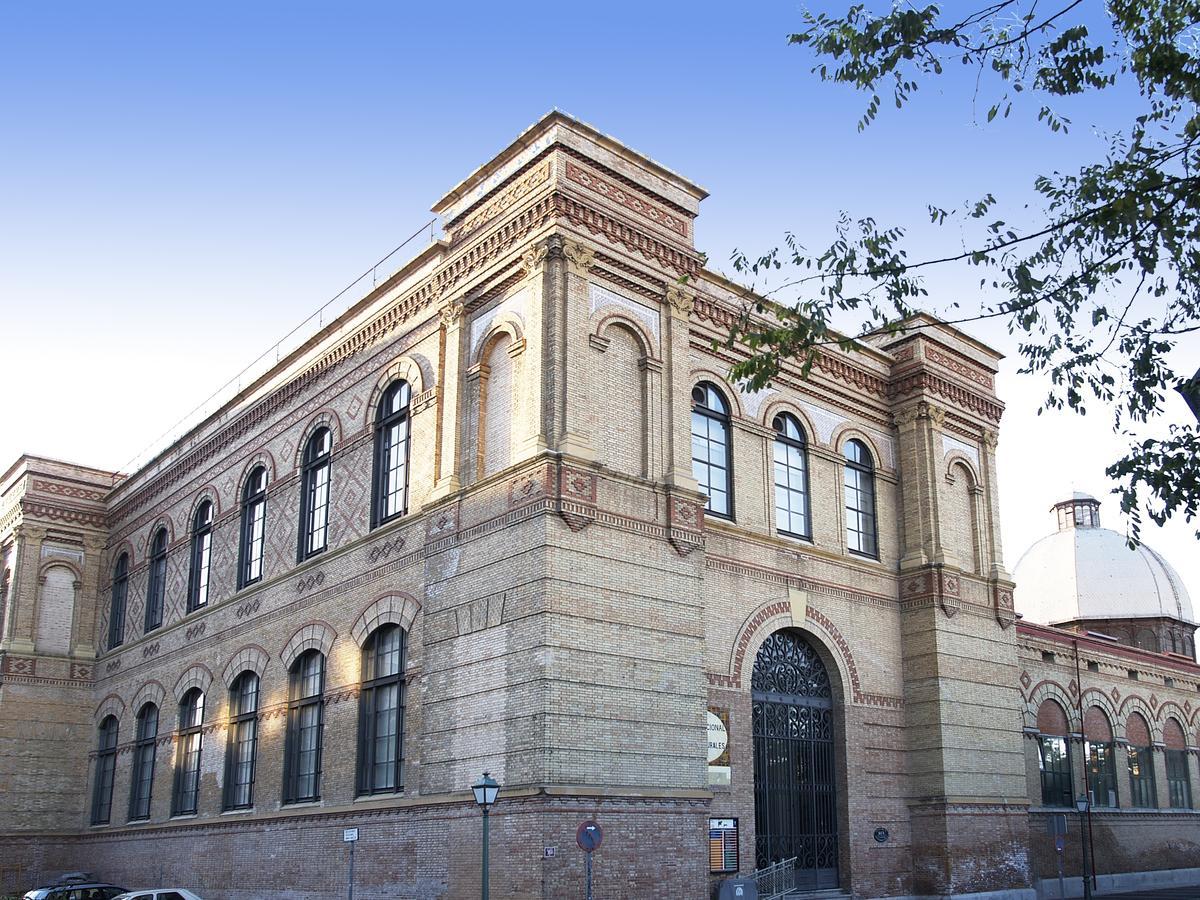 El Museo Nacional de Ciencias Naturales de Madrid acoge 'Meteora'.